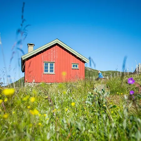Olestolen Lodge Skammestein