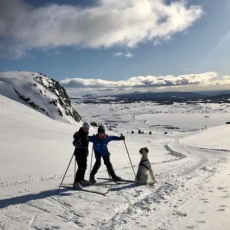 Lodge Olestolen Skammestein