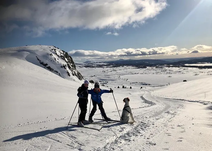 Alojamento de Turismo Selvagem Olestolen Skammestein